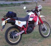 1988 Yamaha XT 500 photo